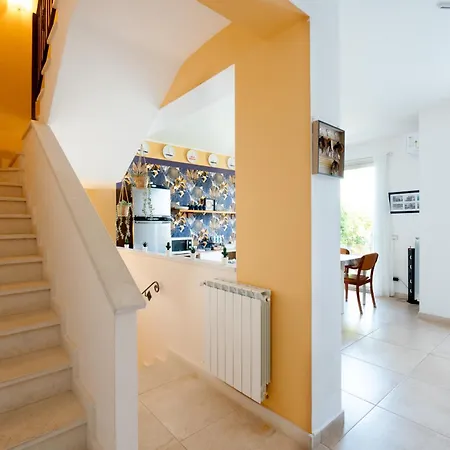 Ruota Di Carretto 3*